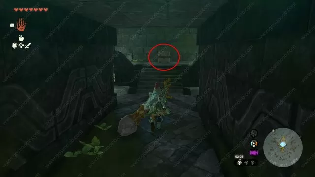 The chest with the Zora Helm