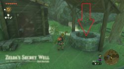 How to Enter Zelda’s Secret Room in TOTK