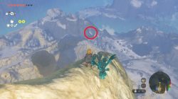 White Bird atop the shadow of Vah Medoh's Perch in Zelda TOTK