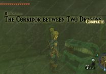Zelda TOTK Corridor Between Two Dragons