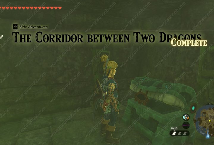 Zelda TOTK Corridor Between Two Dragons