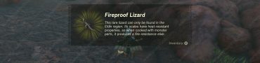 Zelda TOTK Fireproof Elixir Recipe