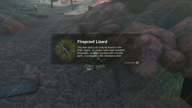 Zelda TOTK Fireproof Elixir Recipe