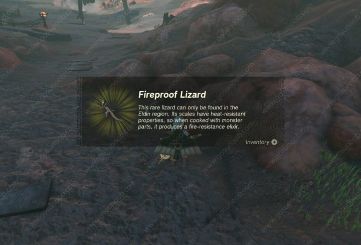 Zelda TOTK Fireproof Elixir Recipe