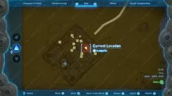 Mattison in Gerudo Town Map