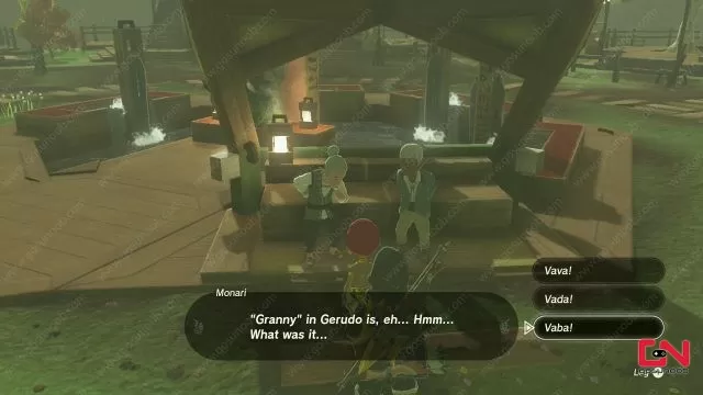 Gerudo Word for Granny Mattison’s Independence Zelda Tears of the Kingdom