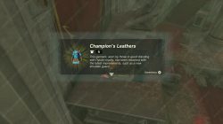 Champion’s Leathers Armor Zelda TOTK