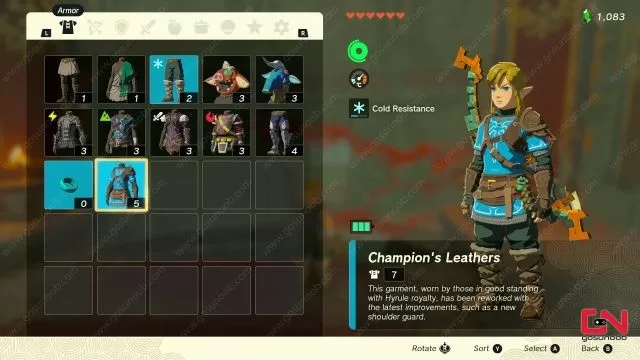 Zelda TOTK New Champion's Tunic, How to Get to Throne Room