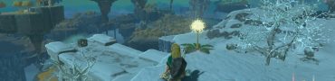 Zelda Tears of the Kingdom Dandelion Puzzle