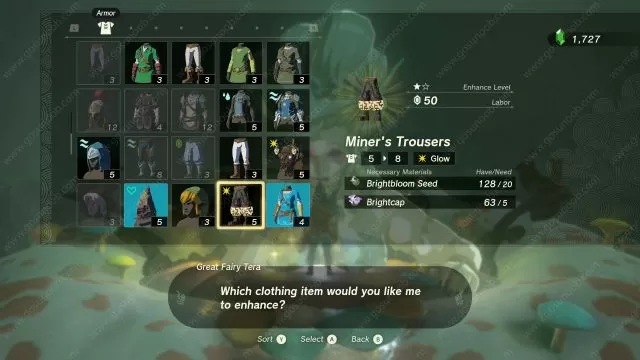 Zelda Tears of the Kingdom Miner's Trousers