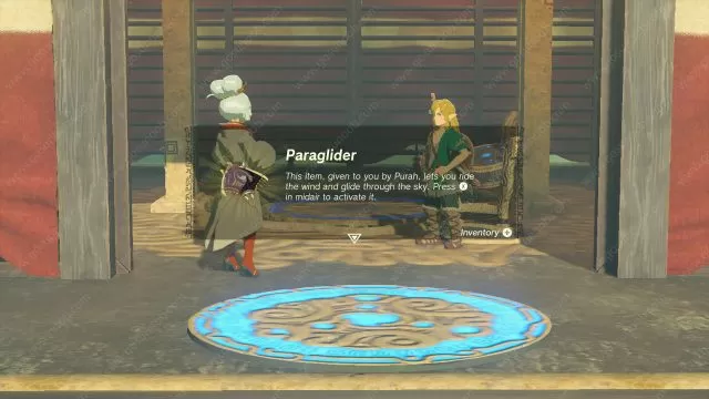 Zelda Totk Paraglider