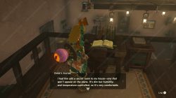 Zelda’s House Secret Room TOTK