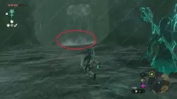 Zora Greaves Location in Zelda TOTK