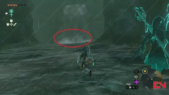 Zora Greaves Location in Zelda TOTK