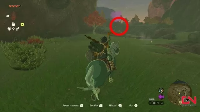 horse upgrade zelda tears of the kingdom