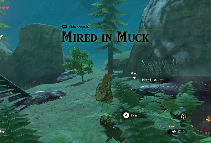 mired in muck zelda tears of the kingdom clean water to remove sludge