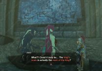 totk clue about watery bridge sidon of the zora