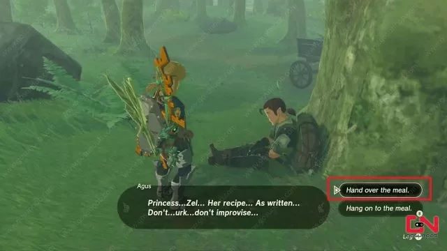 Hylian Rice Zelda TOTK