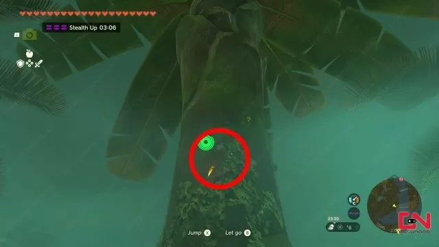 where to farm bladed rhino beetle zelda totk