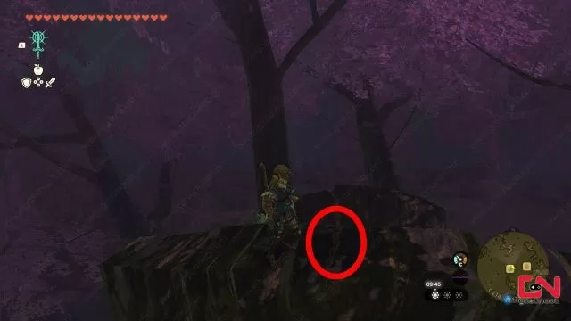 where to find forest dweller sword zelda totk waltons treasure