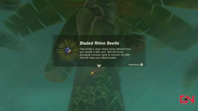 zelda totk bladed rhino beetle farming locations