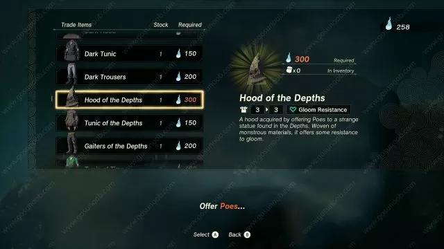 zelda totk hood of the Depths