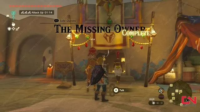 zelda totk the missing owner