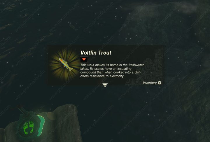 zelda totk voltfin trout location