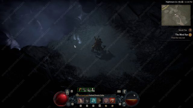 Diablo 4 The Blind Eye Bug, Find the Way Out