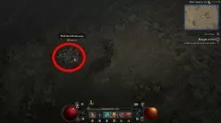 where to find red mushroom for lumir brought to heel diablo 4