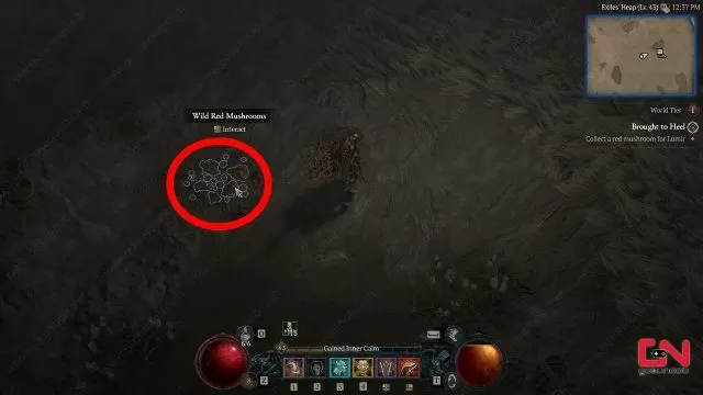 where to find red mushroom for lumir brought to heel diablo 4