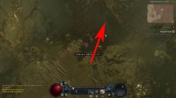 where to find timue tainted flesh location diablo 4