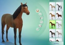 All Sims 4 Horse Breeds & Traits