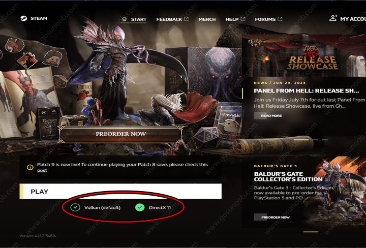 Baldur's Gate 3 Vulkan or Directx 11