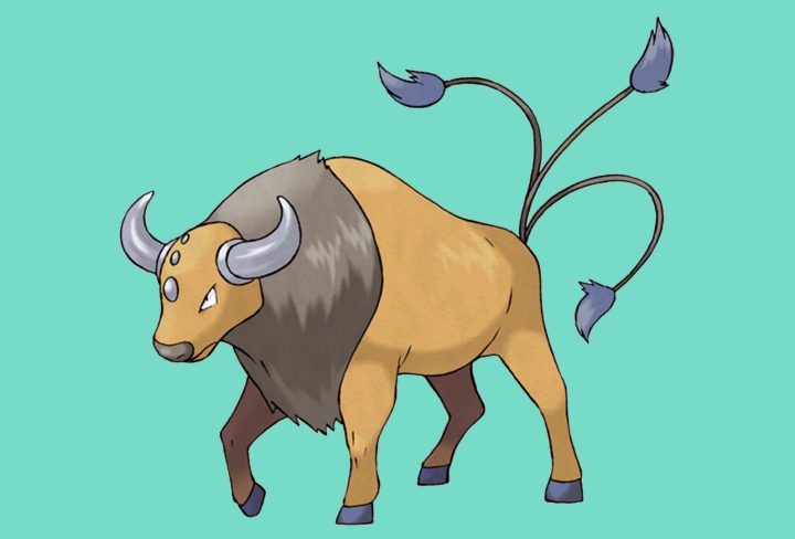 How to Get Tauros Pokemon GO 2023