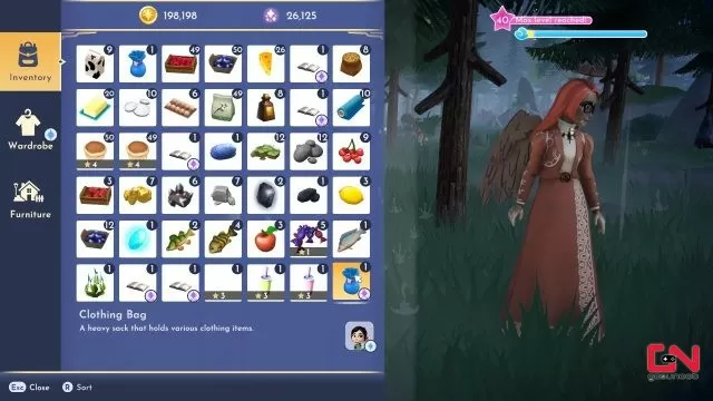 Disney Dreamlight Valley Equip Pixel Sword and Shield Not Detecting Bug