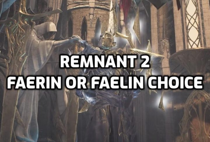 Remnant 2 Faerin Or Faelin Choice, What are Differences