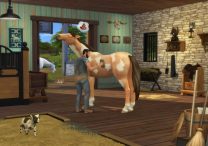 Sims 4 Horse Ranch Items, New CAS & Build Features