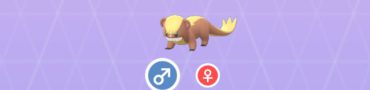 shiny yungoos pokemon go yungoos spotlight hour