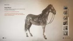 How to Unlock Sand Horse AC Mirage