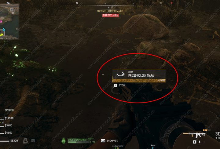 DMZ Prized Golden Tiara in Swamp