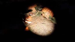 grafton farmhouse phasmophobia halloween pumpkin how to get
