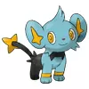 shinx pokemon