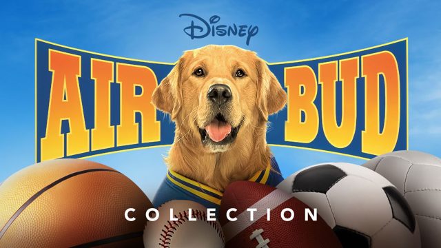 Which Sport Has Air Bud Not Played