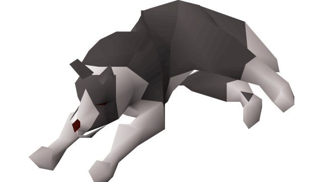 pet the museum camp dog osrs