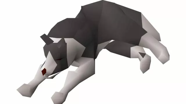 pet the museum camp dog osrs