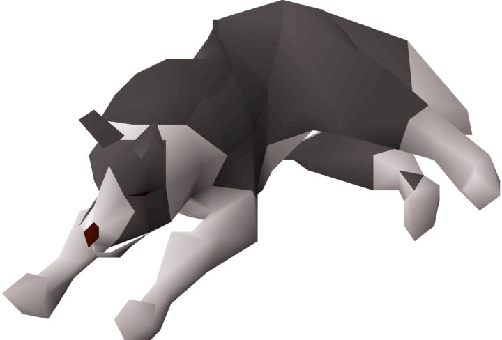 pet the museum camp dog osrs