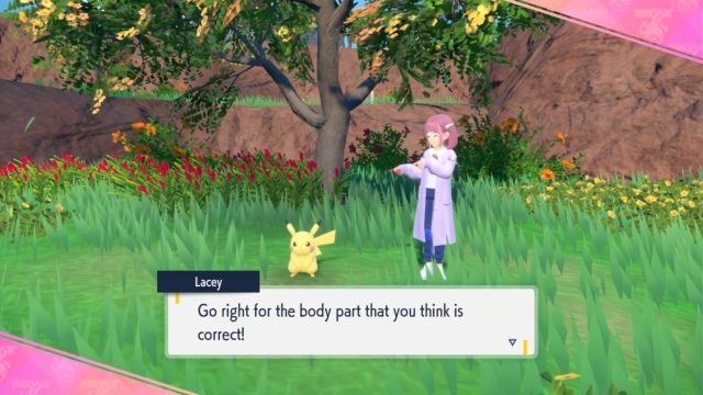 Lacey Elite Trail Quiz Answers Pokemon Indigo Disk