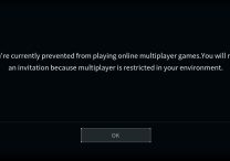Fix Palworld Sorry You’re Currently Prevented From Playing Online Multiplayer Games Error