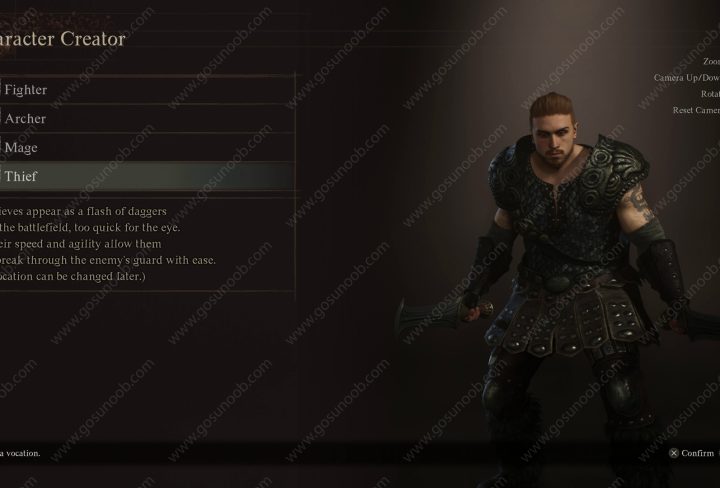 Best Main Pawn for a Thief in Dragon's Dogma 2